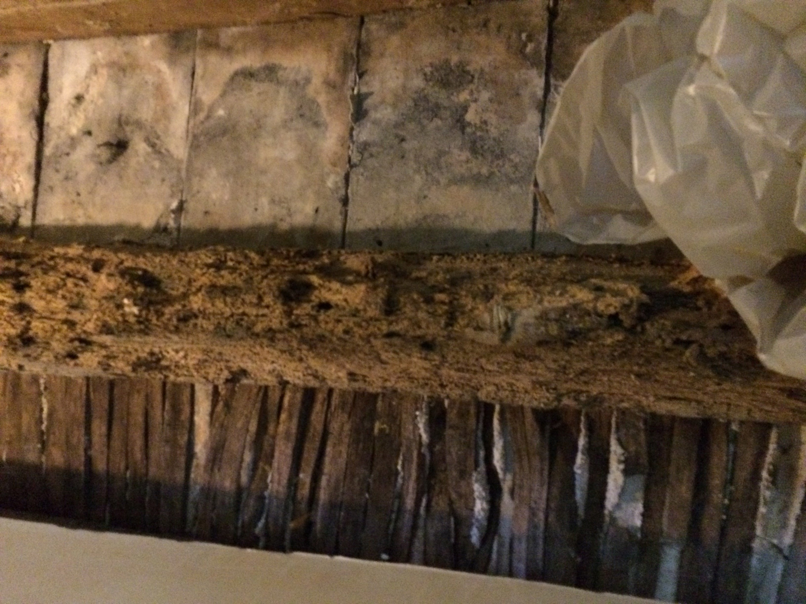 4, cité Griset:5, Moret 75011_avant 1